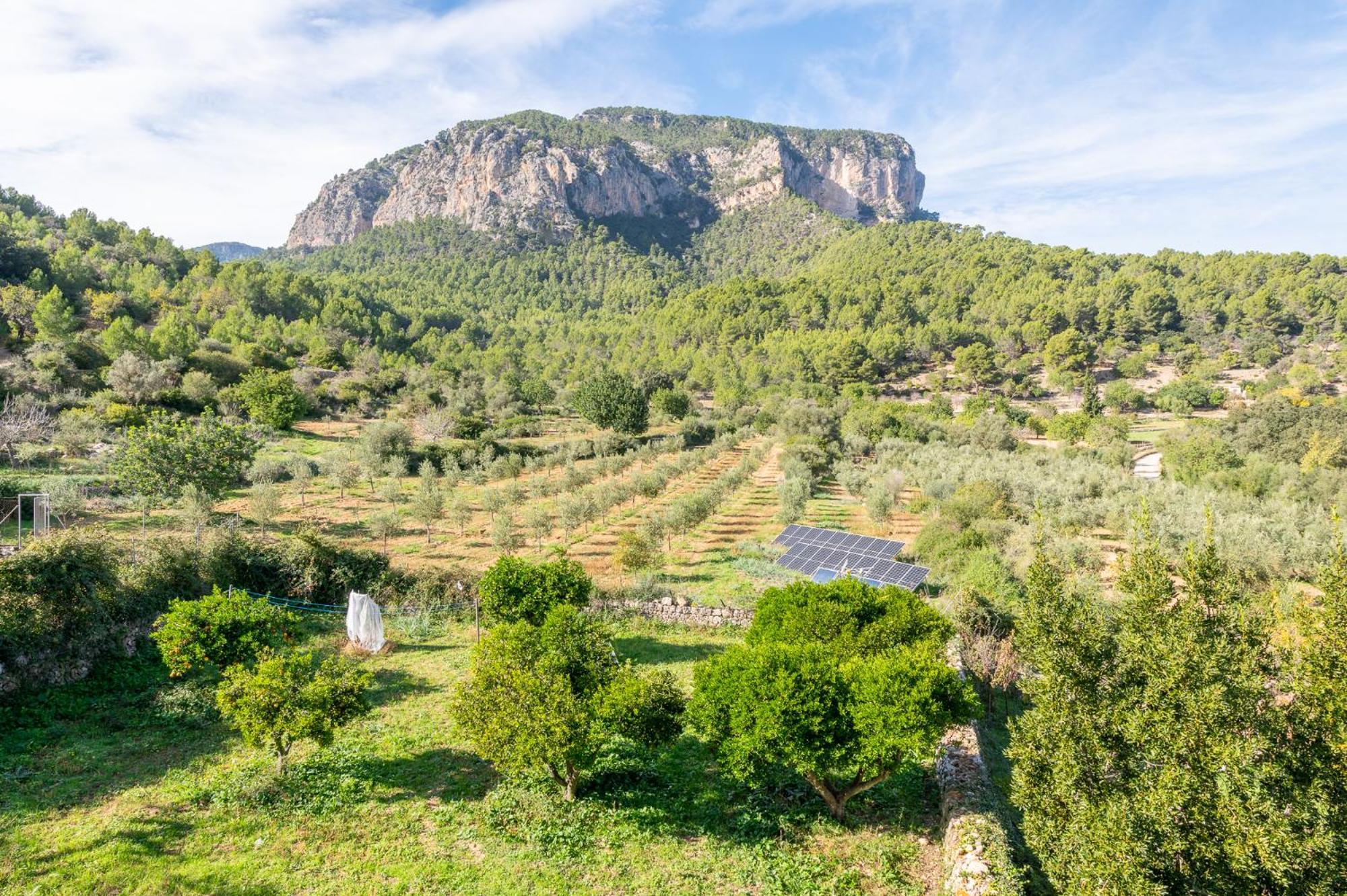 Agroturismo Filicumis Lloseta Exterior foto